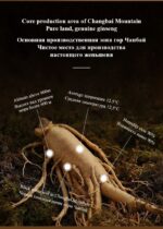 Morefuture Ginseng Honey Tablets - Image 3