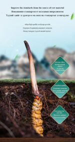 MOREFUTURE Cordyceps CS-4 Capsule - Image 5