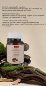 MOREFUTURE Cell-wall Broken Ganoderma Lucidum Spore Powder Capsule - Image 5