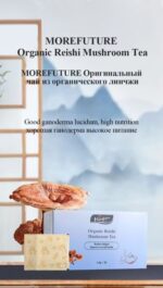 MOREFUTURE Organic Reishi Mushroom Tea - Image 2