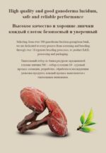 MOREFUTURE Reishi Coffee - Image 5