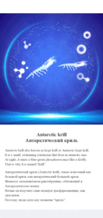 MOREFUTURE Antarctic Krill Oil Softgel - Image 3