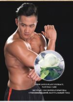 BOCARE Men's Maintenance Liner - Image 4