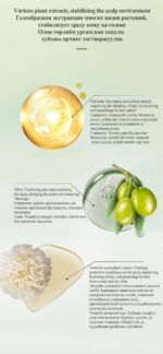 LIMANCY Olive Oil Shampoo - Image 5