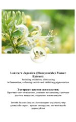 LIMANCY Artemisia Body Wash - Image 6