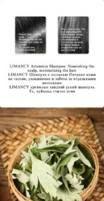 LIMANCY Artemisia Shampoo - Image 3
