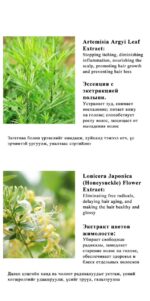 LIMANCY Artemisia Shampoo - Image 5