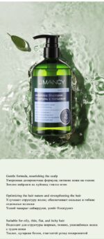 LIMANCY Artemisia Shampoo - Image 7