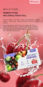 MOREFUTURE Multiple Stem Cell - Image 2