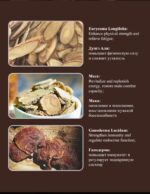 MOREFUTURE Maca Coffee - Image 6