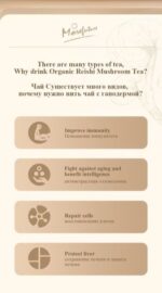 MOREFUTURE Organic Reishi Mushroom Tea - Image 3