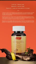 MOREFUTURE Cordyceps CS-4 Capsule - Image 6