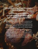 MOREFUTURE Reishi Coffee - Image 6
